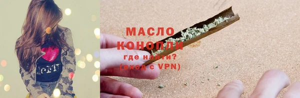 таблы Гусев