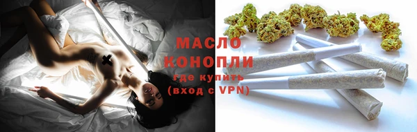 таблы Гусев