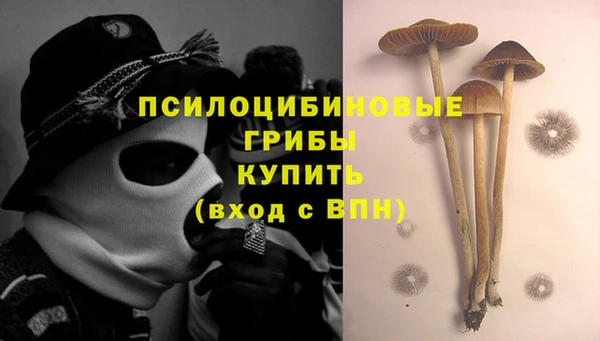 тгк Гусь-Хрустальный