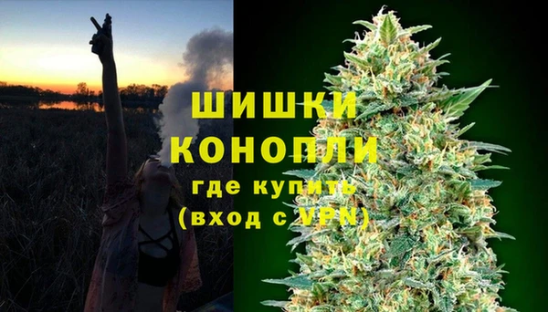 таблы Гусев