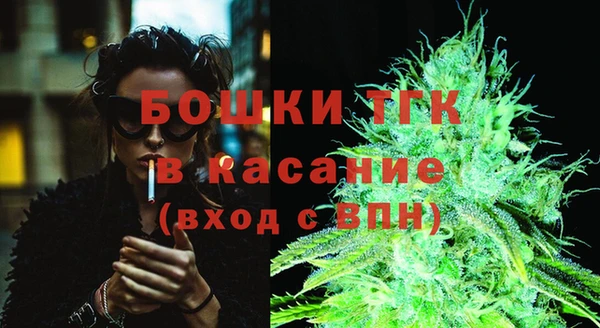 тгк Гусь-Хрустальный