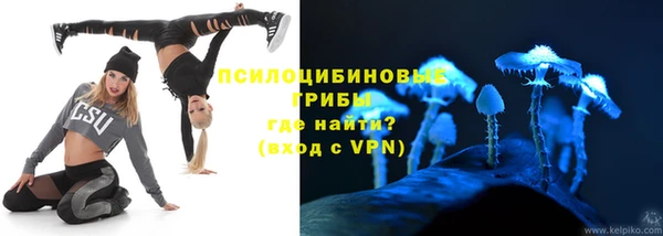 а пвп мука Гусиноозёрск