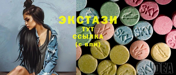 таблы Гусев